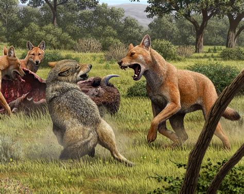 The current era on the geologic time scale is the Cenozoic Era. . How long does it take for dire wolf to spawn era of althea
